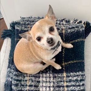 Meet your Posher, Olga